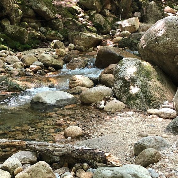 Meet your Posher, Danielle - Picture 1 of 1